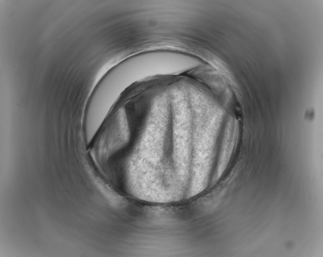 X0000090631234200708141427