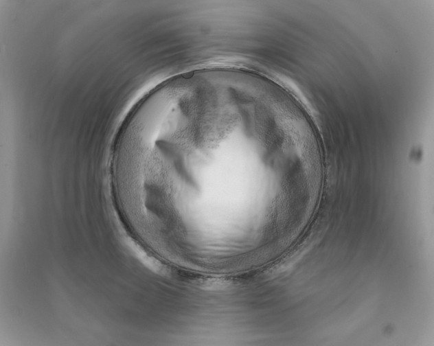 X0000090631235200708141427