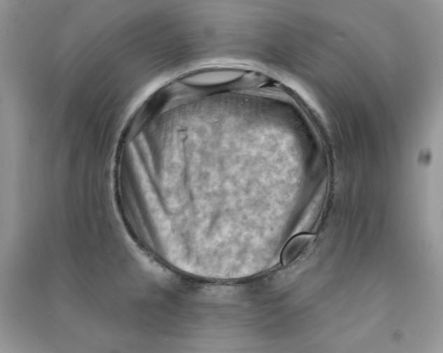 X0000090631237200708141427