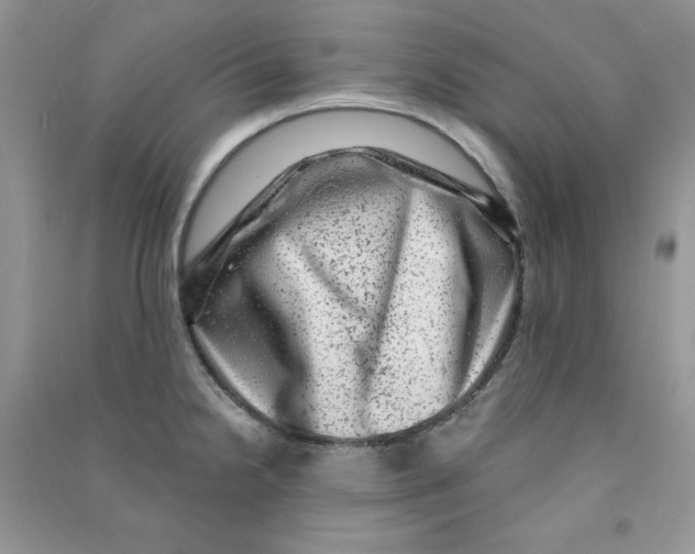 X0000090631238200708141427