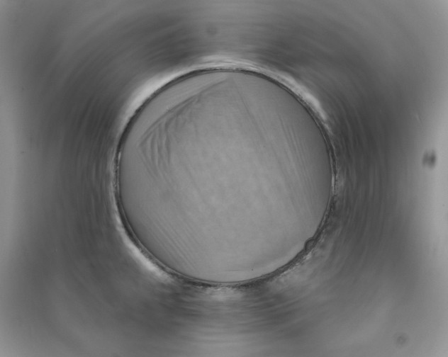 X0000090631239200708141427