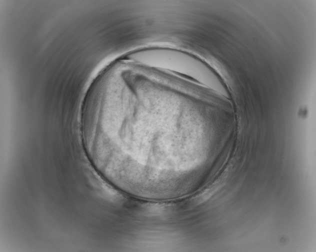 X0000090631240200708141427