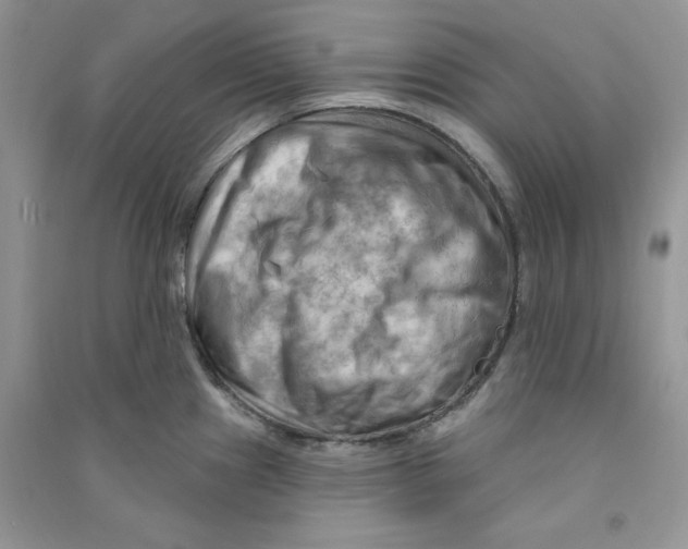 X0000090631241200708141427