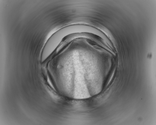 X0000090631242200708141427