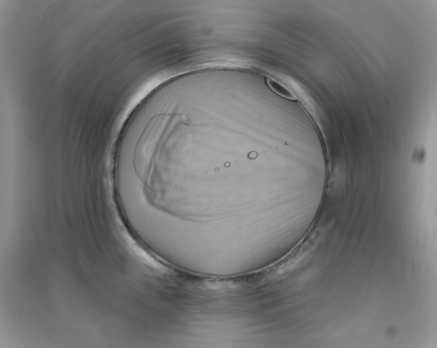 X0000090631243200708141427