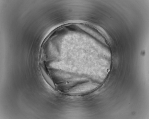 X0000090631244200708141427