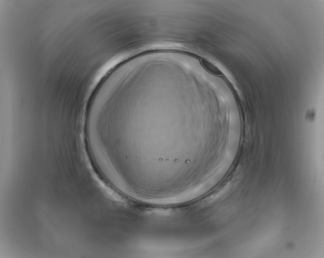 X0000090631245200708141427