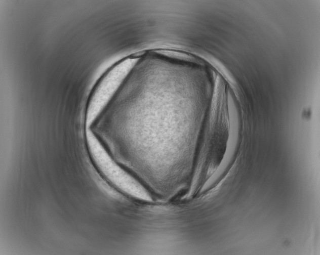 X0000090631246200708141427