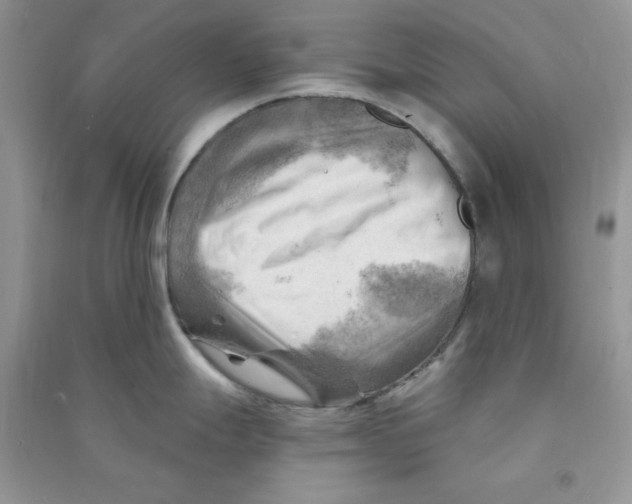 X0000090631247200708141427