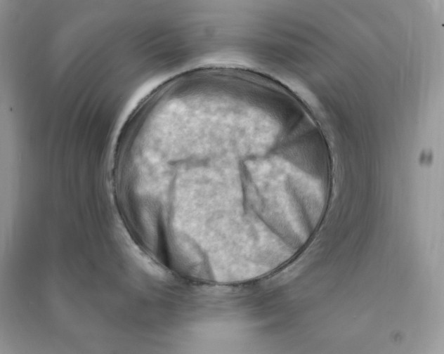 X0000090631248200708141427