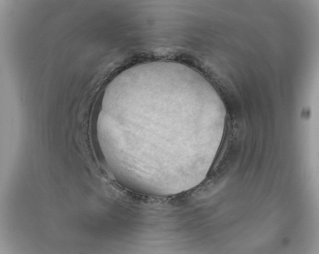 X0000090631249200708141427