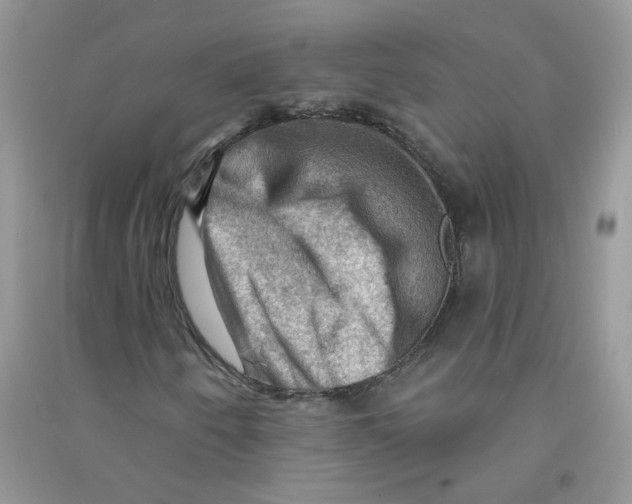 X0000090631250200708141427