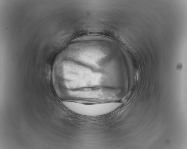 X0000090631251200708141427