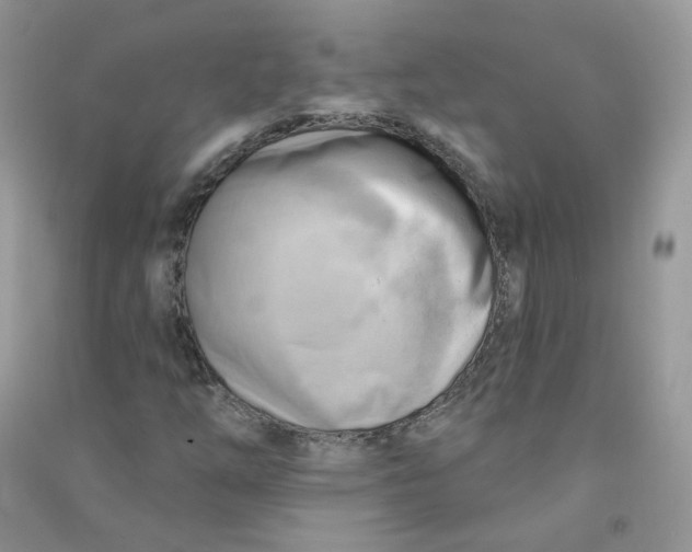 X0000090631254200708141427