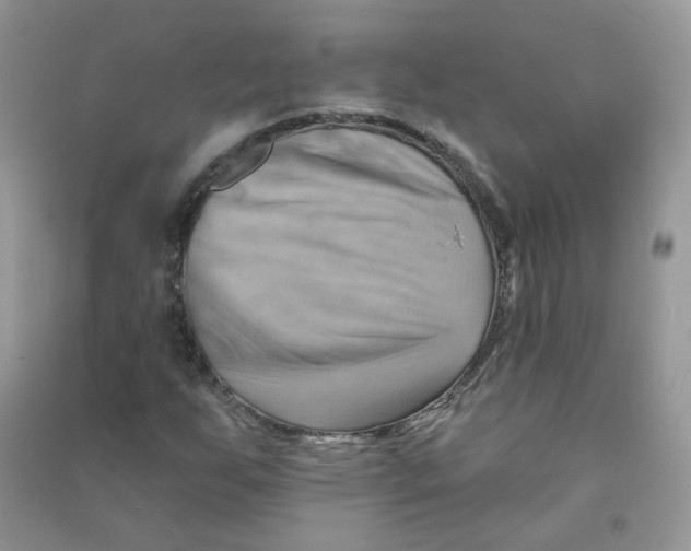 X0000090631255200708141427