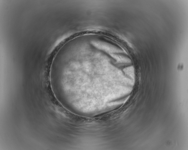 X0000090631256200708141427