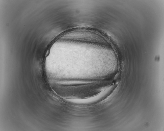 X0000090631257200708141427