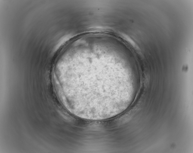X0000090631259200708141427