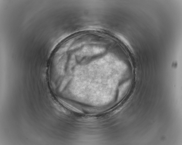 X0000090631260200708141427