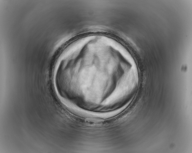 X0000090631261200708141427