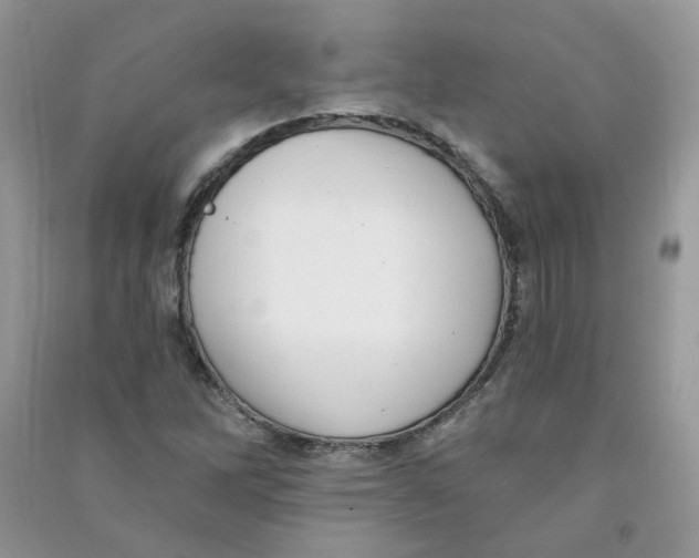 X0000090631262200708141427