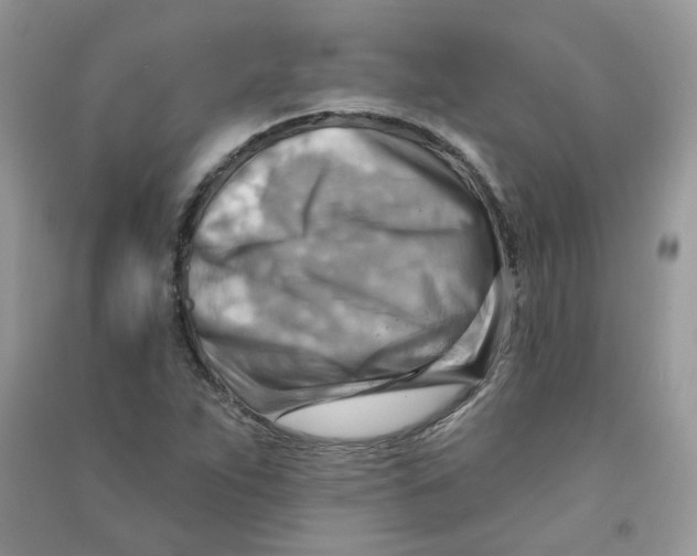 X0000090631263200708141426