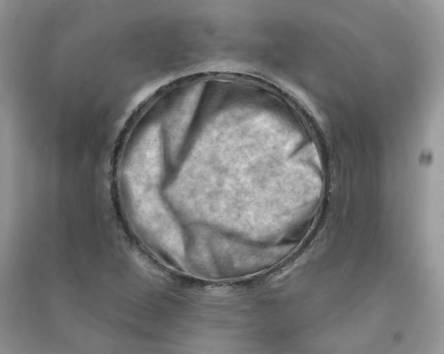 X0000090631264200708141426