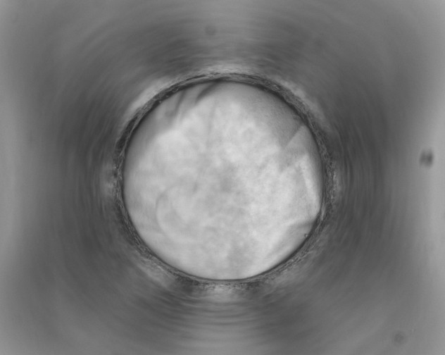 X0000090631266200708141426
