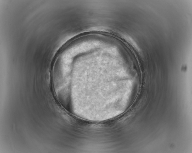 X0000090631268200708141426