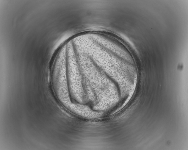 X0000090631269200708141426