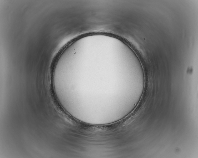 X0000090631270200708141426