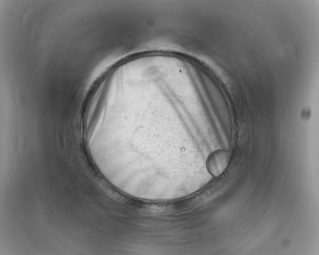 X0000090631271200708141426