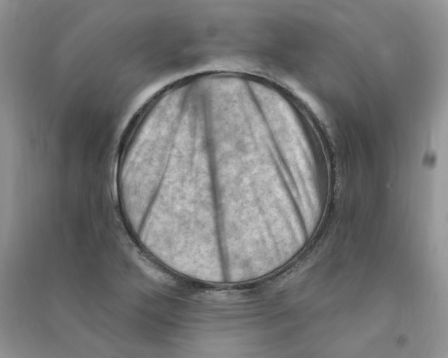 X0000090631272200708141426