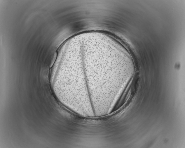 X0000090631273200708141426