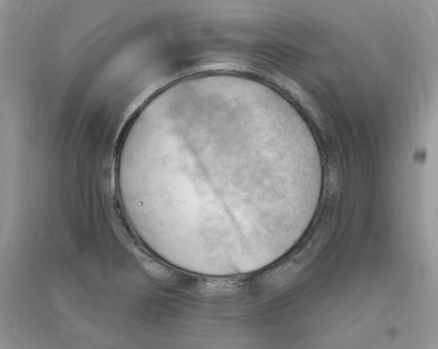 X0000090631274200708141426