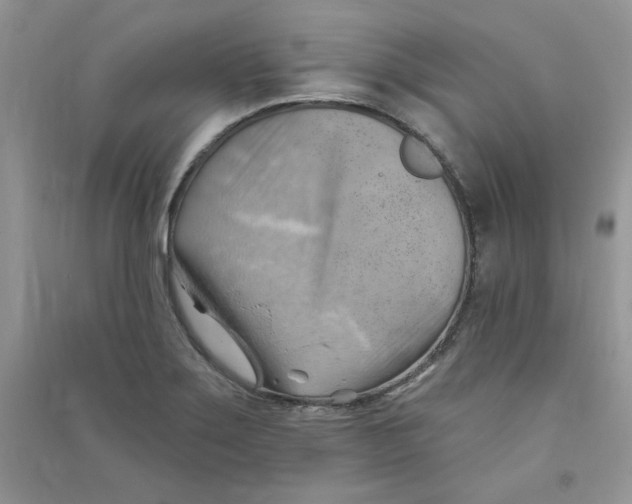 X0000090631275200708141426
