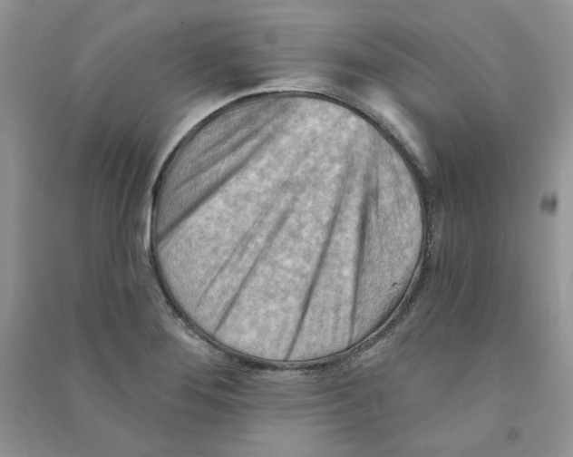 X0000090631276200708141426