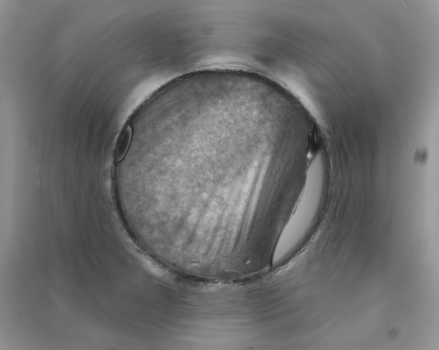 X0000090631277200708141426