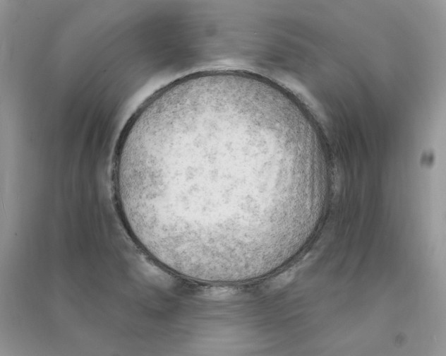 X0000090631278200708141426