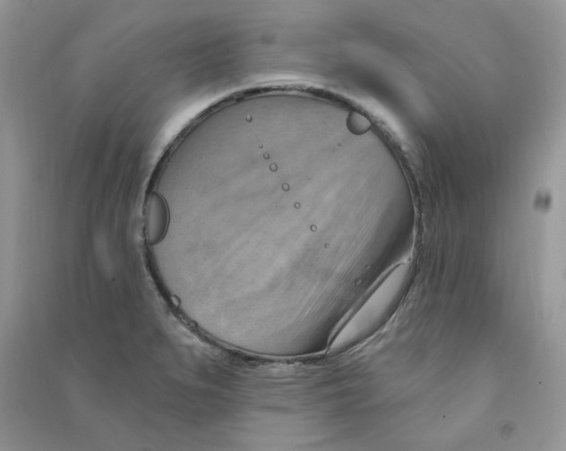 X0000090631279200708141426