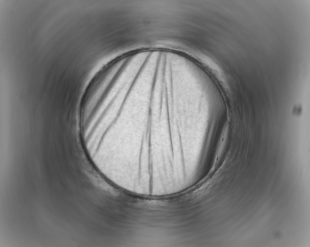 X0000090631280200708141426