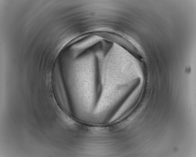 X0000090631281200708141426