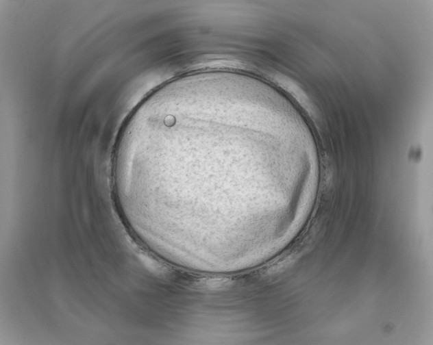 X0000090631282200708141426