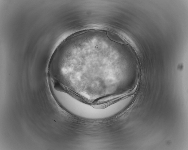 X0000090631283200708141426