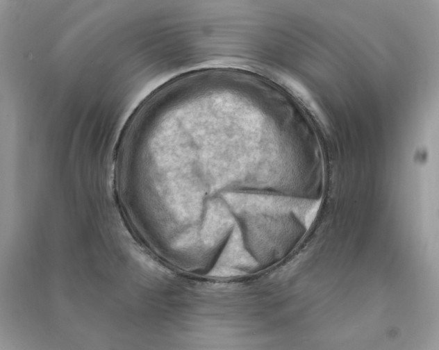 X0000090631284200708141426
