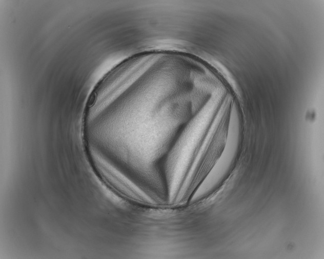 X0000090631285200708141426