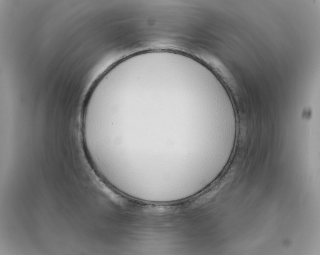 X0000090631286200708141426
