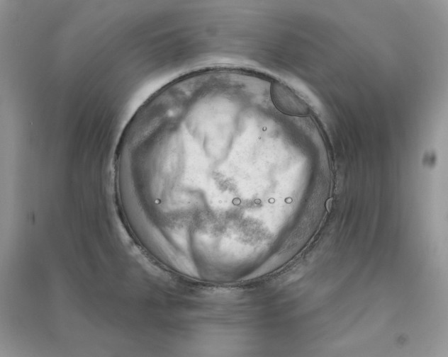 X0000090631287200708141426