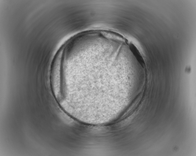 X0000090631288200708141426