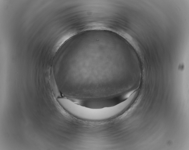 X0000090631289200708141426